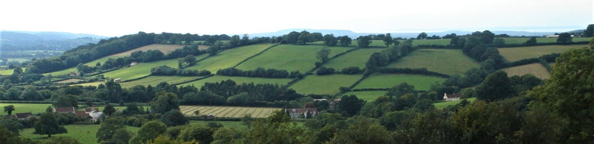 Butcombe